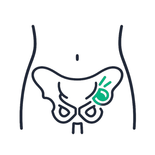 Inguinal Hernia (Groin) Most common groin swelling precise repair.